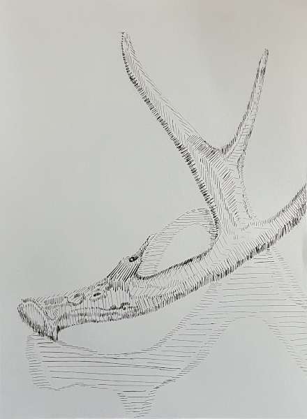 ink drawing number 4