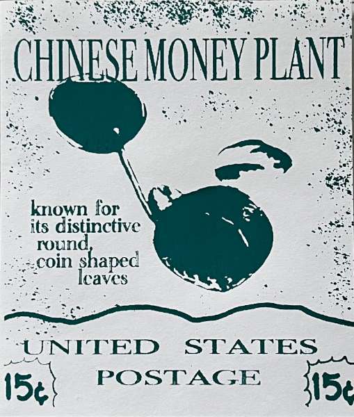Chinese Money Plant